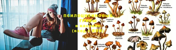 кокаин перу Богданович