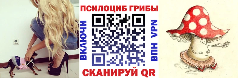 Псилоцибиновые грибы Psilocybine cubensis Белоусово
